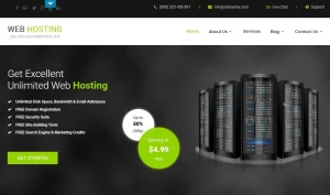 Web Hosting