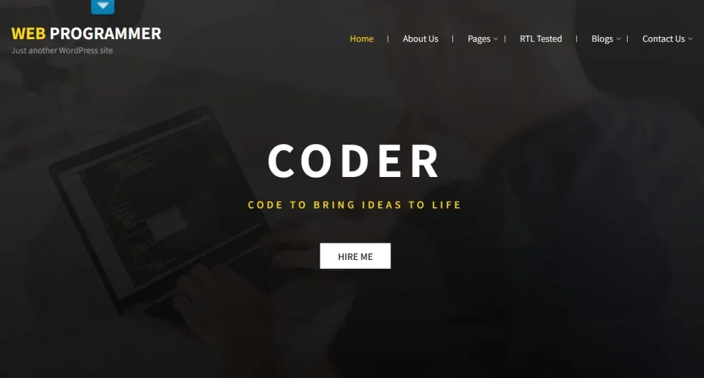 Web Programmer