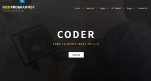 Web Programmer
