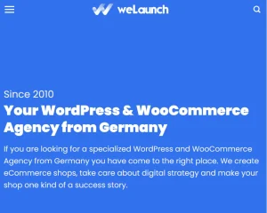 WordPress Fire Push