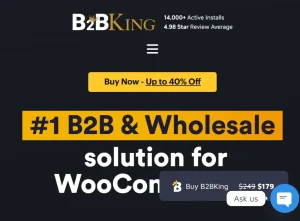 B2BKing Pro