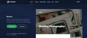 CSS Igniter Benson WordPress Theme