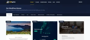 CSS Igniter Brittany WordPress Theme