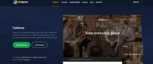 CSS Igniter Carbone WordPress Theme
