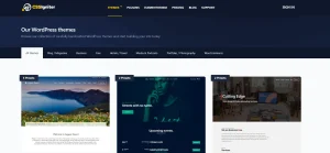 CSS Igniter Koehn WordPress Theme