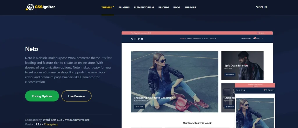 CSS Igniter Neto WooCommerce Theme