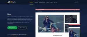 CSS Igniter Neto WooCommerce Theme