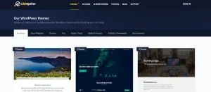 CSS Igniter Paperbag WordPress Theme