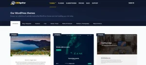 CSS Igniter Vignette WordPress Theme