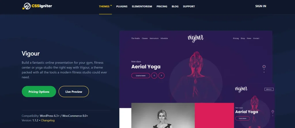 CSS Igniter Vigour WordPress Theme