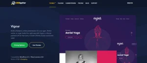CSS Igniter Vigour WordPress Theme