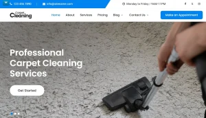 Carpet Cleaning