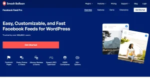 Custom Facebook Feed Pro Developer