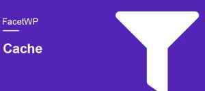 FacetWP – Cache