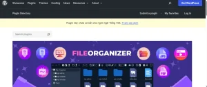 FileOrganizer Pro