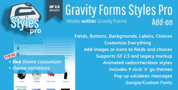 Gravity Forms Styles Pro