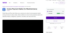 Invoice Payment Option