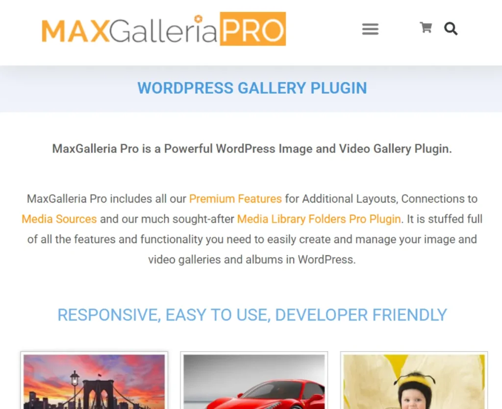 Media Library Folders Pro For WordPress