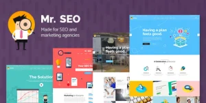 Mr. SEO - SEO, Marketing Agency and Social Media Theme