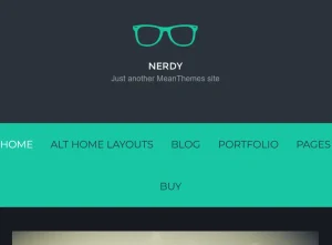 Nerdy