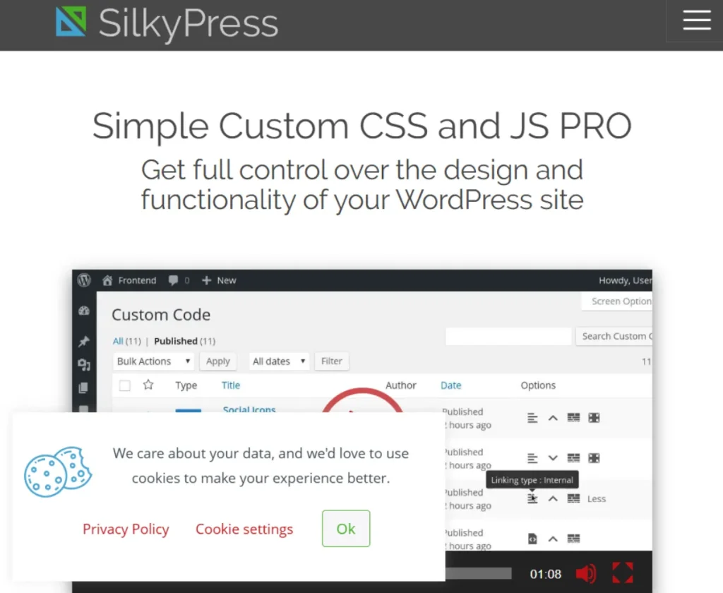 Simple Custom CSS and JS PRO