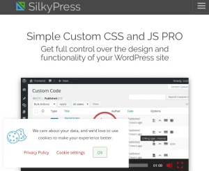 Simple Custom CSS and JS PRO