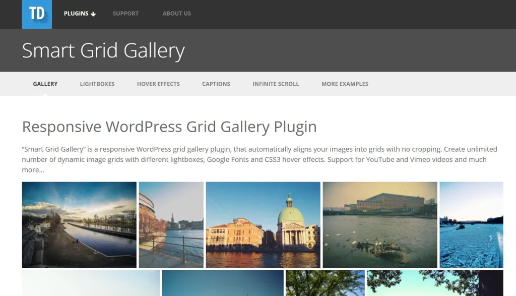 Smart Grid Gallery