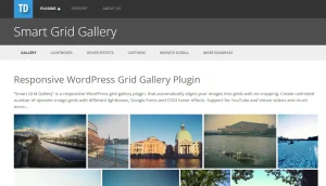 Smart Grid Gallery