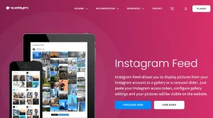 Social Feed Gallery PRO