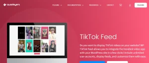 TikTok Feed PRO