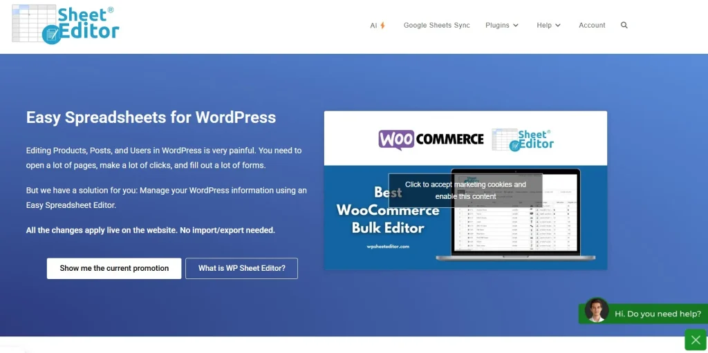 WP Sheet Editor – Redirection