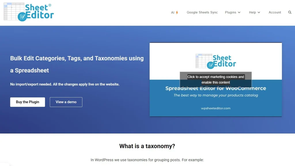WP Sheet Editor – Taxonomy Terms Pro