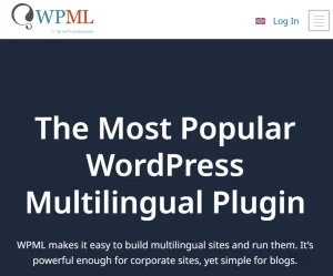 WPML Media Translation
