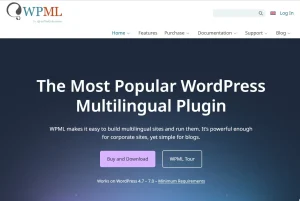 WPML String Translation