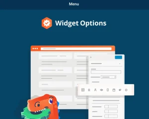 Widget Options – Extended
