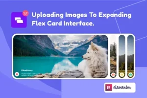 Wiloke Expanding Flex Cards