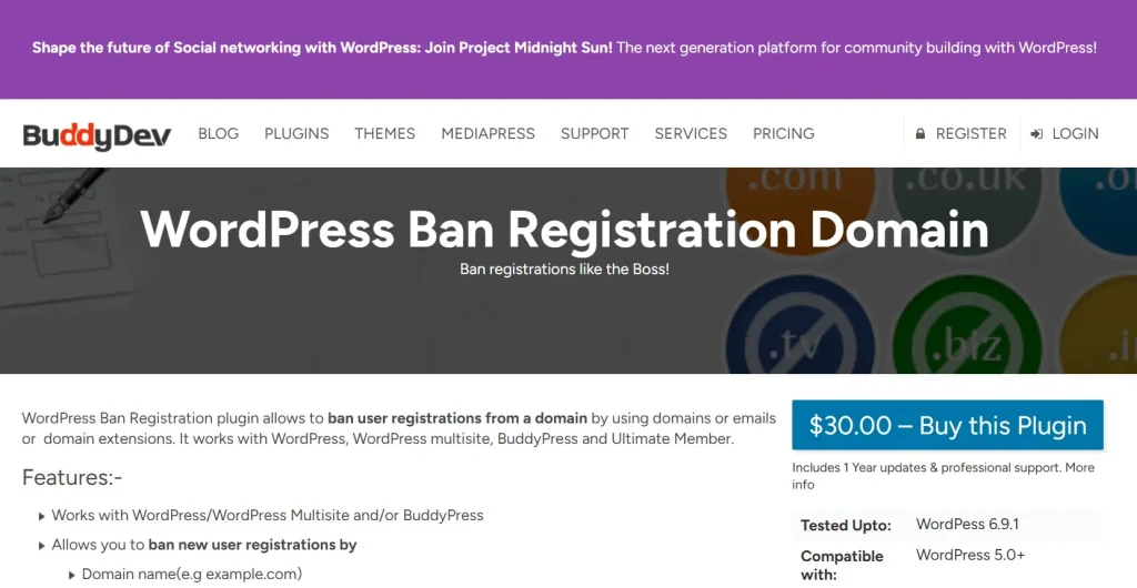 WordPress Ban Registration Domain