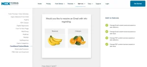 NEX-Forms ADD ON – Conditional Content Blocks