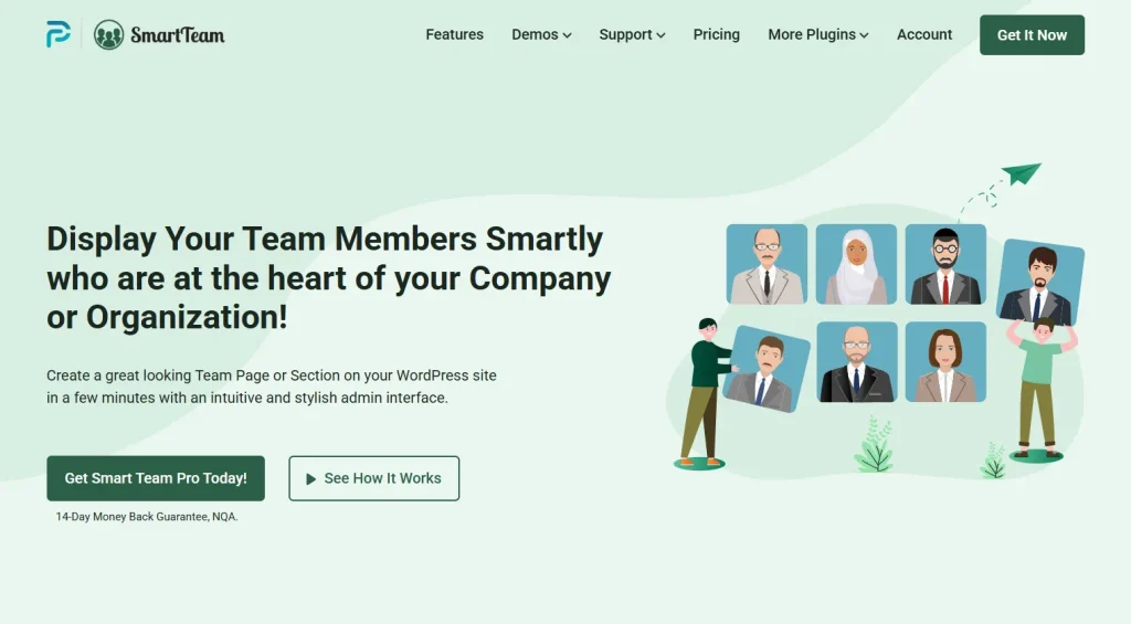 Smart Team Pro