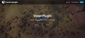 Voxel
